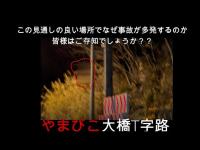 心霊マニア やまびこ大橋T字路（神奈川県）
