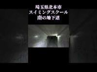 埼玉県心霊スポット『スイミングスクール南の地下道』 #心霊スポット