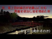 埼玉県 弁天沼（鳴かずの池）