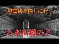 【心霊散歩】宮城県仙台市・八木山橋の下にある慰霊碑を探しに行く