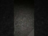 Haunted Place Healing. Former Tuberculosis Isolation Hospital at Ekoda no Mori Park in Nakano Tokyo