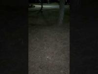 Mizumoto Park, Suicide Spot, Healing in Katsushika, Tokyo Japan on Jan 23, 2026