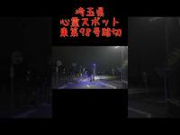 埼玉県心霊スポット『東第９８号踏切（みずほ台の踏切）』 #心霊スポット