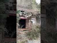 Honkakuji Temple Healing in Ibaraki Japan on Feb 13, 2026