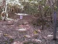 樹海で拾ったテープを編集してみた