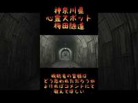 神奈川県心霊スポット『梅田隧道』 #心霊スポット