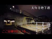 宮城県 大年寺地下道