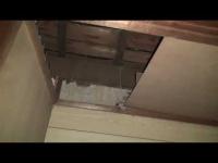 黄色い家(三角の家)②