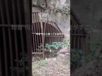 霊能者と行く心霊スポット 淡路島 5色トンネル #霊能者 #スピリチュアル #神人さん #宇宙 #心霊スポット #淡路島 #トンネル #心霊配信