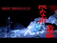【警告】絶対に一人で見ないでください。S3# 31「お前か」と話す声の正体・・・沖縄・とある浜で起きた記録