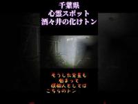 千葉県心霊スポット『酒々井の化けトン』 #心霊スポット