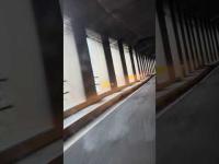 徳島県大坂峠の遠隔癒し。カッパと忠犬ハチ公の癒し。Mar 5, 2026