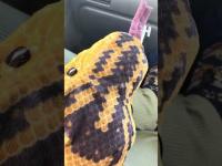 Execution Spot of Dokan Sonoda and his 3 children in Noto, Ishikawa Japan. Mar 5,  2026.