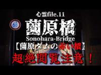 【超閲覧注意！】薗原橋 〜巨大オーブと集団霊！～【心霊file.11】#心霊 #心霊スポット #evp #オーブ #ghost