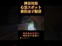 神奈川県心霊スポット『新旧金子隧道』 #心霊スポット