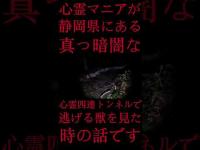 #Shorts 心霊マニアが静岡県にある真っ暗闇な心霊四連トンネルで逃げる獣を見た時の話です