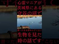 #Shorts 心霊マニアが茨城県にある守谷の沼で潜ったまま浮かんでこない生物を見た時の話です