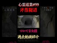 ついてきた霊 心霊巡業#99  #shorts