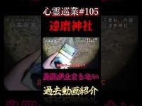 鳥肌が止まらない 心霊巡業#105  #shorts