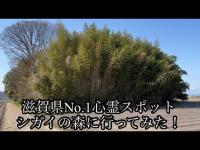 [心霊探索]滋賀県No.1心霊スポット シガイの森に行ってみた！