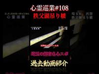 埼玉の超有名心スポ 心霊巡業#108  #shorts