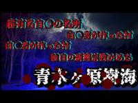 【心霊探訪No.226】青木ヶ原樹海の謎を追え！