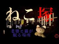 【心霊】ねこ塚