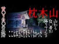 #025 枕木山 #ユーチューバー最新 #心霊 #心霊スポット #心霊配信 #心霊配信者 #心霊動画 #いわく付き物件 #霊の声 #いわく付き #幽霊 #恐怖 #オカルト