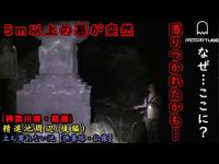 【心霊検証】箱根の森に…こんな大きい墓って…動物も近寄らない池【GHOST TUBE検証】夜中にお経が聞こえる精進池【神奈川県・箱根】後編