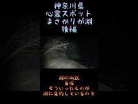 神奈川県心霊スポット『まさかりが淵』後編　 #心霊スポット