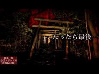 そこにいるのは誰…？離島の廃神社で起きた謎の怪奇現象【心霊スポットの旅・新潟編Day5】