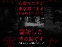 #Shorts 心霊マニアが東京都にある旧小峰トンネルに霊訪した時の話です