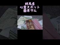 鶏飯食べに群馬県心霊スポットへ『薗原ダム』 #心霊スポット #登利平 #とり飯