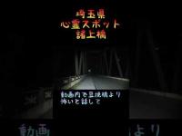 埼玉県心霊スポット『諸上橋』 #心霊スポット