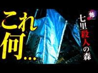 森の奥で見つけたこれ何…七里◯人の森【芸人沢田の幽霊に会えるまで終われません #17】