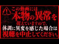 ⚠︎放送事故レベル！そこにいるのは本物だ！