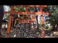 [心霊探索]大阪最恐クラスの隠れ心霊スポット アジャリの森に行ってみた！