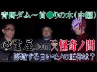 【青野ダム～首〇りの木】【中編】浮遊する白いモノの正体は？