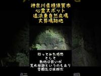 神奈川県心霊スポット『追浜東町自然の広場』 #心霊スポット
