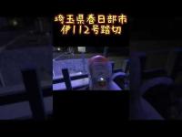 埼玉県心霊スポット『伊112号踏切』 #心霊スポット