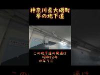 神奈川県心霊スポット『夢の地下道』 #心霊スポット