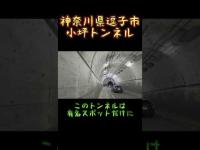 神奈川県心霊スポット『小坪トンネル』 #心霊スポット