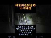 神奈川県心霊スポット『小坪隧道』 #心霊スポット