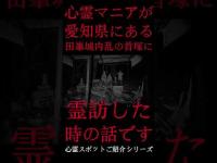 #Shorts 心霊マニアが愛知県にある田峯城内乱の首塚に霊訪した時の話です