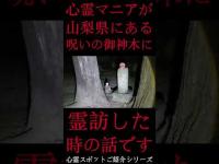 #Shorts 心霊マニアが山梨県にある呪いの御神木に霊訪した時の話です
