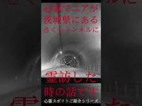 #Shorts 心霊マニアが茨城県にあるさくらトンネルに霊訪した時の話です