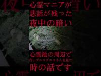 #Shorts 心霊マニアが悲話が残った夜中の暗い心霊池の周辺で白いグニョグニョさんを見た時の話です