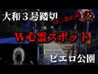 【自〇の絶えない踏切】大和３号踏切＆ピエロ公園【心霊】#心霊 #心霊スポット #horror #evp