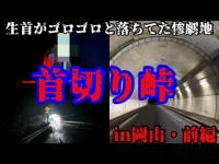 #346【心霊第96弾】「首切峠」生首がゴロゴロ落ちていた！？in岡山県前編