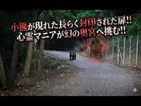 心霊マニア 小熊が現れた長らく封印された幻の奥宮へ心霊マニアが挑む（山梨県）
